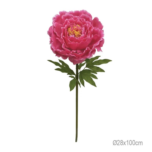 ΚΛΑΔΙ ΠΑΙΩΝΙΑ ΦΟΥΞ ΓΙΓΑΣ - Φ28x100cm 12/ΚΙΒ – Δίνει premium χαρακτήρα στο περιβάλλον | iroots.gr