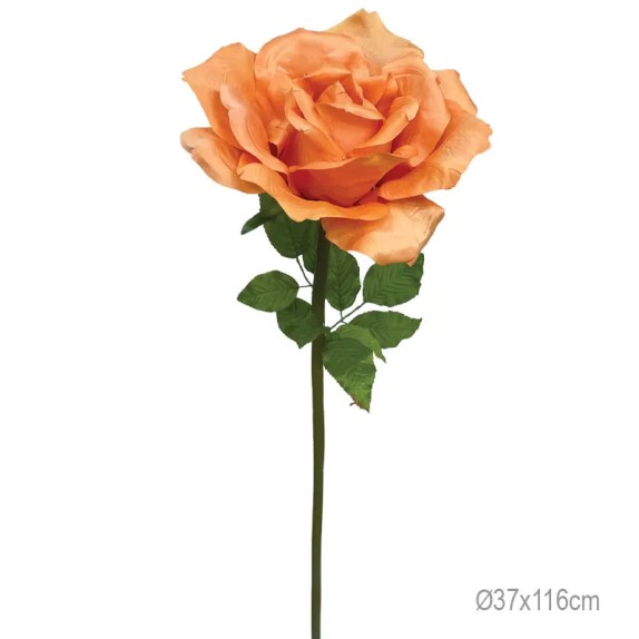 ΚΛΑΔΙ ΤΡΙΑΝΤΑΦΥΛΛΟ ΠΟΡΤΟΚΑΛΙ ΓΙΓΑΣ - Φ37x116cm 12/ΚΙΒ – Προσφέρει μοναδική αισθητική | iroots.gr