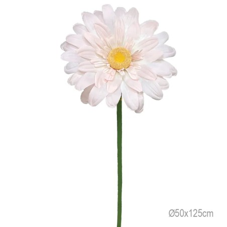 ΚΛΑΔΙ ΜΑΡΓΑΡΙΤΑ ΣΟΜΟΝ ΓΙΓΑΣ - Φ50x125cm 24/ΚΙΒ – Προσφέρει μοναδική αισθητική | iroots.gr