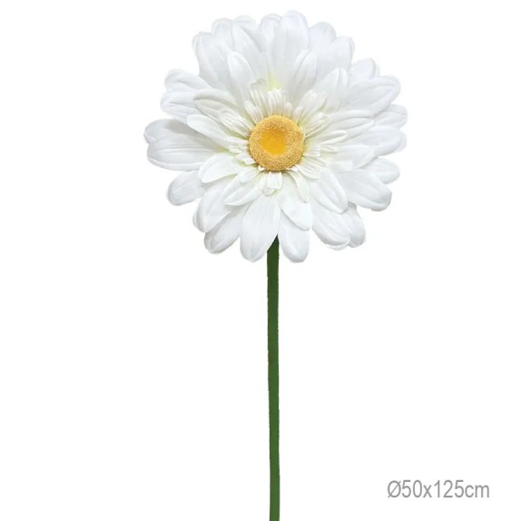 ΚΛΑΔΙ ΜΑΡΓΑΡΙΤΑ ΕΚΡΟΥ ΓΙΓΑΣ - Φ50x125cm 24/ΚΙΒ – Προσφέρει μοναδική αισθητική | iroots.gr