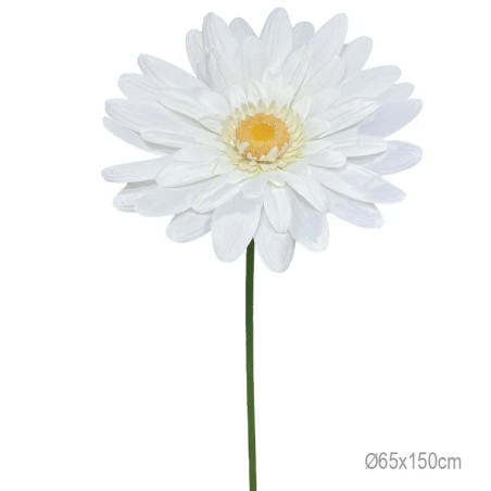 ΚΛΑΔΙ ΜΑΡΓΑΡΙΤΑ ΕΚΡΟΥ ΓΙΓΑΣ - Φ65x150cm 12/ΚΙΒ – Δίνει premium χαρακτήρα στο περιβάλλον | iroots.gr