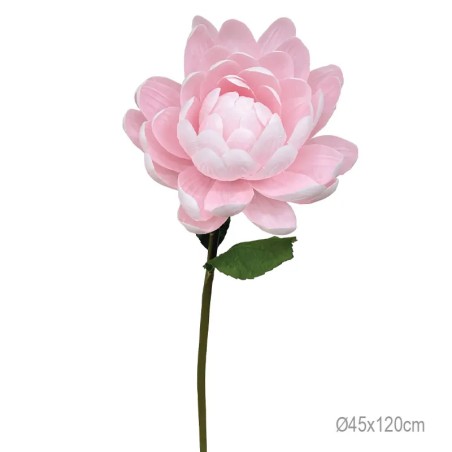 ΚΛΑΔΙ ΝΟΥΦΑΡΟ ΡΟΖ ΓΙΓΑΣ - Φ45x120cm 12/ΚΙΒ – Αναβαθμίζει άμεσα τον χώρο σου | iroots.gr