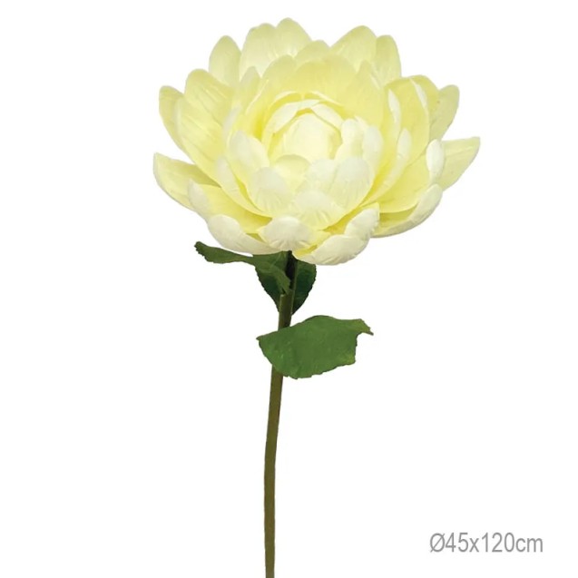 ΚΛΑΔΙ ΝΟΥΦΑΡΟ ΚΙΤΡΙΝΟ ΓΙΓΑΣ - Φ45x120cm 12/ΚΙΒ – Προσφέρει μοναδική αισθητική | iroots.gr