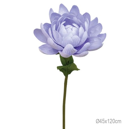 ΚΛΑΔΙ ΝΟΥΦΑΡΟ ΛΙΛΑ ΓΙΓΑΣ - Φ45x120cm 12/ΚΙΒ – Προσφέρει μοναδική αισθητική | iroots.gr