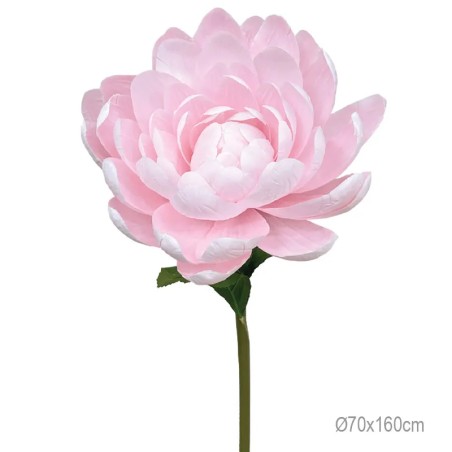 ΚΛΑΔΙ ΝΟΥΦΑΡΟ ΡΟΖ ΓΙΓΑΣ - Φ70x160cm 6/ΚΙΒ – Ταιριάζει σε κάθε μοντέρνο ή επαγγελματικό χώρο | iroots.gr