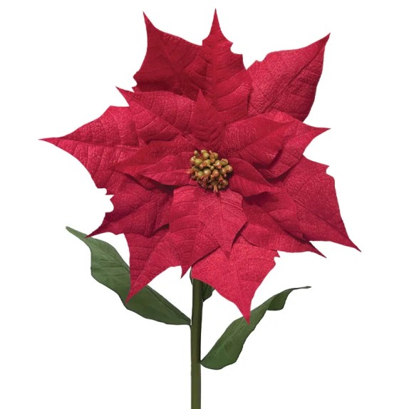 ΚΛΑΔΙ ΑΛΕΞΑΝΔΡΙΝΟ ΓΙΓΑΣ KOKKINO ΒΕΛΟΥΔO - XXXL: Φ72x135cm 6/12KIB – Δημιουργεί αίσθηση πολυτέλειας χωρίς κόπο | iroots.gr