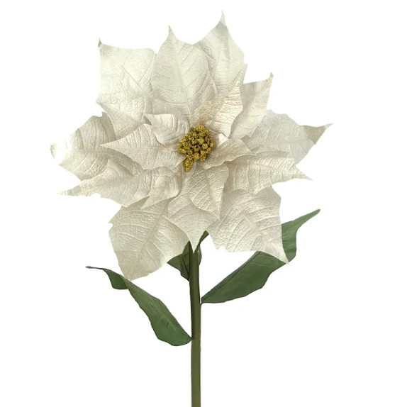 ΚΛΑΔΙ ΑΛΕΞΑΝΔΡΙΝΟ ΓΙΓΑΣ ΣΑΜΠΑΝΙ ΒΕΛΟΥΔO - XXL: Φ55x120cm 6/12KIB – Αναβαθμίζει άμεσα τον χώρο σου | iroots.gr