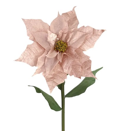 ΚΛΑΔΙ ΑΛΕΞΑΝΔΡΙΝΟ ΓΙΓΑΣ ΡΟΖ ΒΕΛΟΥΔO - XXL: Φ55x120cm 6/12KIB – Δίνει premium χαρακτήρα στο περιβάλλον | iroots.gr