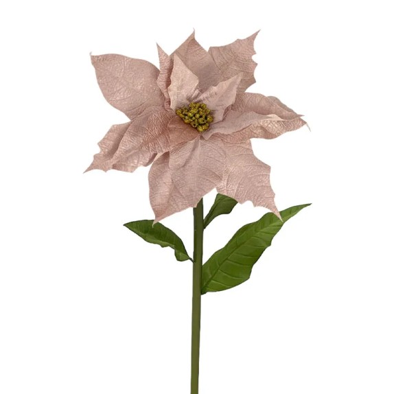 ΚΛΑΔΙ ΑΛΕΞΑΝΔΡΙΝΟ ΓΙΓΑΣ ΡΟΖ ΒΕΛΟΥΔO - XL: Φ45x110cm 6/12KIB – Δίνει premium χαρακτήρα στο περιβάλλον | iroots.gr