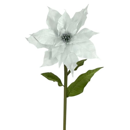 ΚΛΑΔΙ ΑΛΕΞΑΝΔΡΙΝΟ ΓΙΓΑΣ ΑΣΗΜΙ ΒΕΛΟΥΔO - XL: Φ45x110cm 6/12KIB – Δίνει premium χαρακτήρα στο περιβάλλον | iroots.gr