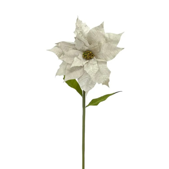 ΚΛΑΔΙ ΑΛΕΞΑΝΔΡΙΝΟ ΓΙΓΑΣ ΣΑΜΠΑΝΙ ΒΕΛΟΥΔO - L: Φ32x105cm 12/24KIB – Δίνει premium χαρακτήρα στο περιβάλλον | iroots.gr