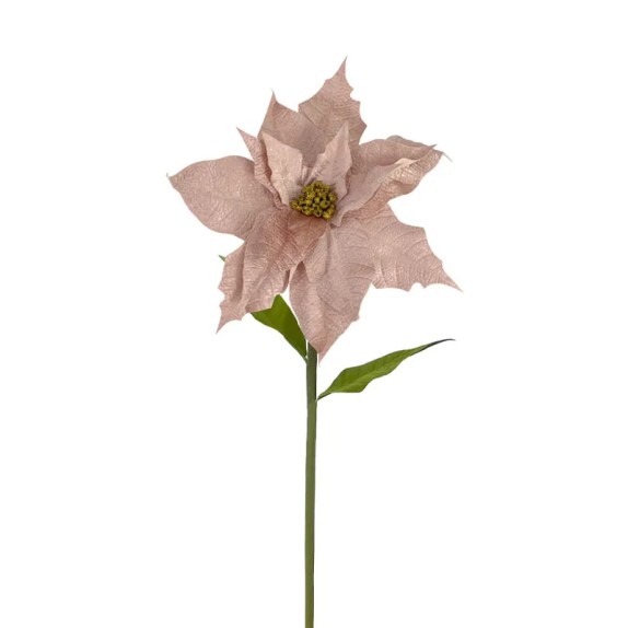 ΚΛΑΔΙ ΑΛΕΞΑΝΔΡΙΝΟ ΓΙΓΑΣ ΡΟΖ ΒΕΛΟΥΔO - L: Φ32x105cm 12/24KIB – Ταιριάζει σε κάθε μοντέρνο ή επαγγελματικό χώρο | iroots.gr