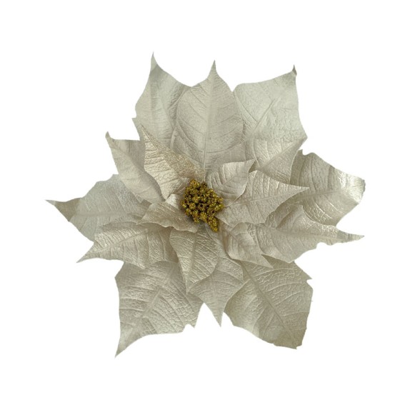 ΚΡΕΜΑΣΤΟ ΑΛΕΞΑΝΔΡΙΝΟ ΛΟΥΛΟΥΔΙ ΓΙΓΑΣ ΣΑΜΠΑΝΙ ΒΕΛΟΥΔΟ - XXL: Φ55cm 24/KIB – Δίνει premium χαρακτήρα στο περιβάλλον | iroots.gr