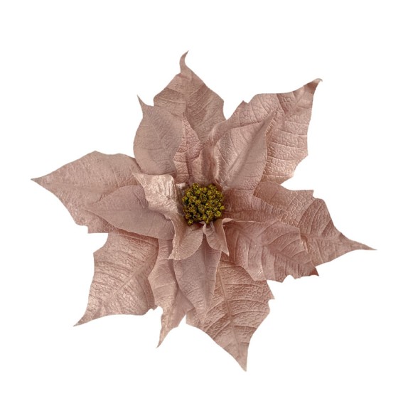 ΚΡΕΜΑΣΤΟ ΑΛΕΞΑΝΔΡΙΝΟ ΛΟΥΛΟΥΔΙ ΓΙΓΑΣ ΡΟΖ ΒΕΛΟΥΔΟ - XXL: Φ55cm 24/KIB – Αναβαθμίζει άμεσα τον χώρο σου | iroots.gr