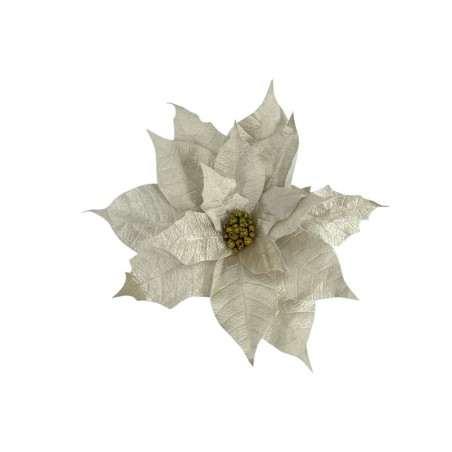 ΚΡΕΜΑΣΤΟ ΑΛΕΞΑΝΔΡΙΝΟ ΛΟΥΛΟΥΔΙ ΓΙΓΑΣ ΣΑΜΠΑΝΙ ΒΕΛΟΥΔΟ - XL: Φ43cm 24/KIB – Αναβαθμίζει άμεσα τον χώρο σου | iroots.gr