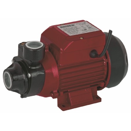 RAIDER Αντλία ηλεκ. περιφερειακή νερού RD-PK60 370W 070101 – Δίνει premium χαρακτήρα στο περιβάλλον | iroots.gr