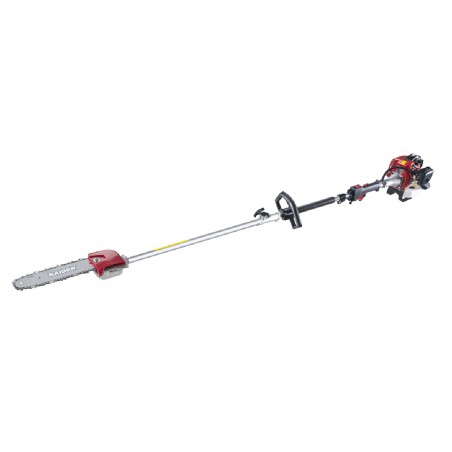 RAIDER Κονταροπρίονο βενζ. 25cc με προέκταση 1m RD-GPS01 075555 – Προσφέρει μοναδική αισθητική | iroots.gr