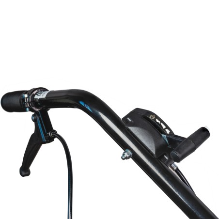 RAIDER Αυτοκινούμενος καταστροφέας βενζίνης 4hp RD-DM01 075017