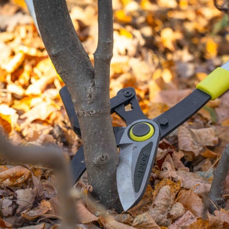 GARDEX Ψαλίδα κλάδου τηλεσκοπ. αλουμινίου λαβή 700mm 382918 – Δίνει premium χαρακτήρα στο περιβάλλον | iroots.gr