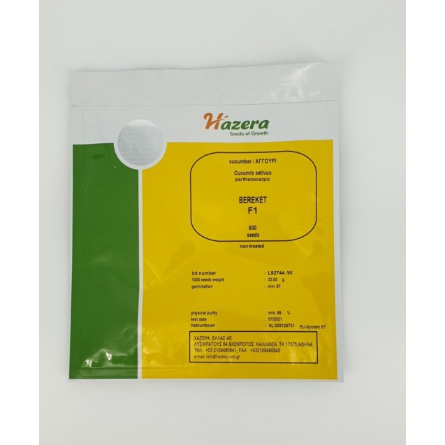 Αγγούρι κοντό Bereket F1 500σπόρων Hazera – Ταιριάζει σε κάθε μοντέρνο ή επαγγελματικό χώρο | iroots.gr