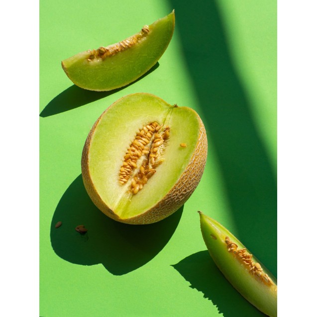 Πεπόνι Lavigal F1 500σπόρων Hazera – Ταιριάζει σε κάθε μοντέρνο ή επαγγελματικό χώρο | iroots.gr