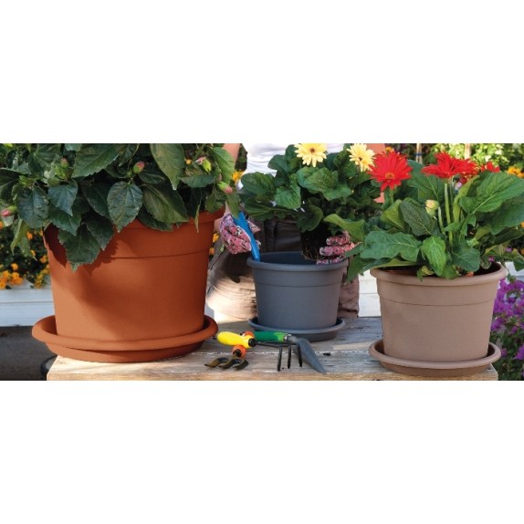 Πιάτο για γλαστρα Diana – Προσφέρει μοναδική αισθητική | iroots.gr