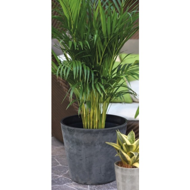 Γλάστρα Nova Vita Cono από 100% ανακυκλωμένο πλαστικό ARTPLAST από 20,1 cm διάμετρο, 19 cm ΄ύψος, χρώμα ανθρακι – Προσφέρει μονα