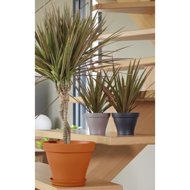 Πιάτο για γλάστρα πλαστική Romeo – Ταιριάζει σε κάθε μοντέρνο ή επαγγελματικό χώρο | iroots.gr