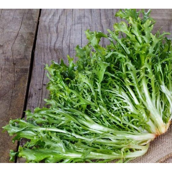 Αντίδι κοντό Ruffec Ortis – Αναβαθμίζει άμεσα τον χώρο σου | iroots.gr