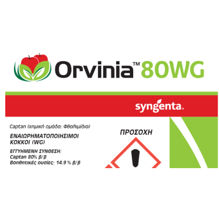Orvinia 80 WG 1,5kg – Προσφέρει μοναδική αισθητική | iroots.gr