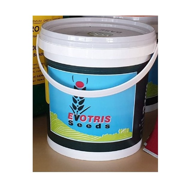 Πράσο καλέμι (B.G) Extra Selection 500gr 0810N152