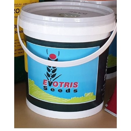Πράσο καλέμι (B.G) Extra Selection 500gr 0810N152