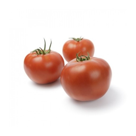 Τομάτα Despina F1 Rijk Zwaan 1000σπόρων – Προσφέρει μοναδική αισθητική | iroots.gr