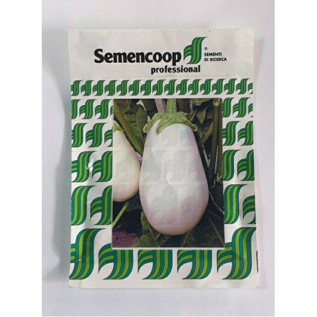 Μελιτζάνα Clara F1 100σπόρων – Ταιριάζει σε κάθε μοντέρνο ή επαγγελματικό χώρο | iroots.gr