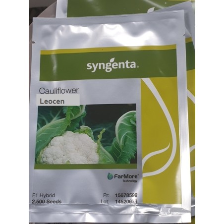 Κουνουπίδι Leocen F1 2500sd (Syngenta) 150-160 ημερών – Αναβαθμίζει άμεσα τον χώρο σου | iroots.gr