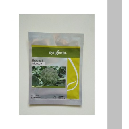 Μπρόκολο Montop F1 Syngenta 2500sd 65-75ημερών – Δίνει premium χαρακτήρα στο περιβάλλον | iroots.gr