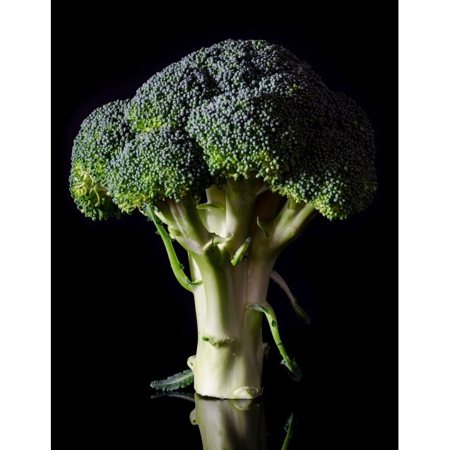 Μπρόκολο SV3277BL (LORD) F1 Hybrid Hellas 2500sd 85ημερών – Ταιριάζει σε κάθε μοντέρνο ή επαγγελματικό χώρο | iroots.gr