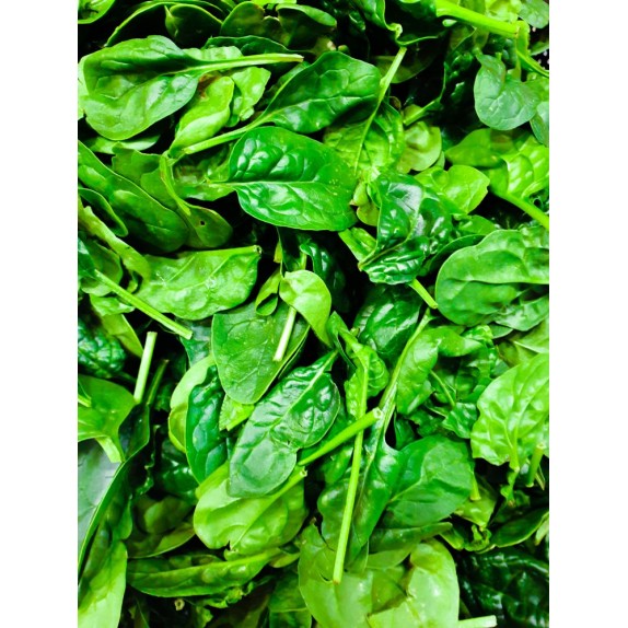 Σπανάκι Palladio F1 50.000 σπόρων (Hybrid Hellas) – Προσφέρει μοναδική αισθητική | iroots.gr