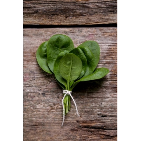 Σπανάκι Dallas (PV1513) F1 100.000sd (ΕΛΑΝΚΟ seeds) – Προσφέρει μοναδική αισθητική | iroots.gr