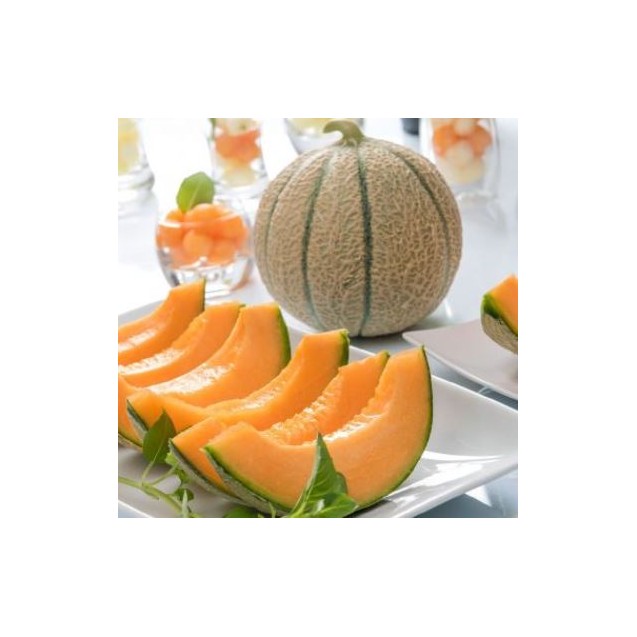 Πεπόνι Jenga F1 500σπόρων Fytro – Ταιριάζει σε κάθε μοντέρνο ή επαγγελματικό χώρο | iroots.gr