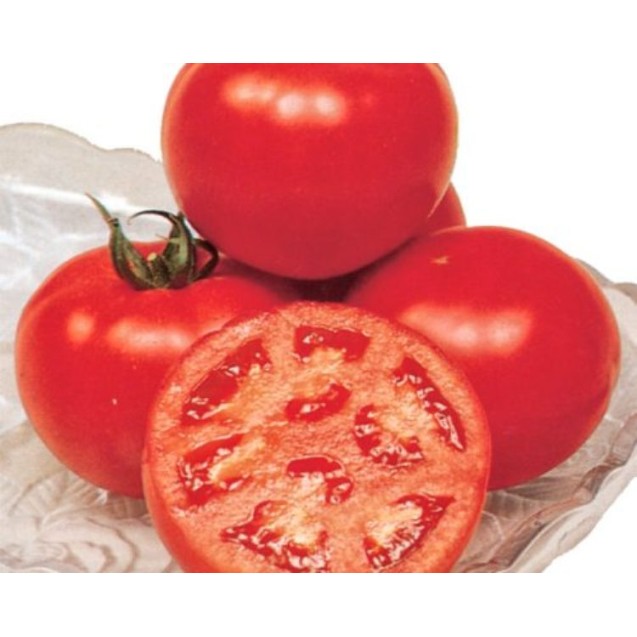 Τομάτα Veronais F1 1000σπόρων Aroseed – Δημιουργεί αίσθηση πολυτέλειας χωρίς κόπο | iroots.gr