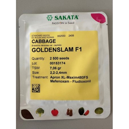 Λάχανο GoldenSlam F1 sakata 10.000σπόρων (85-90ημερών)