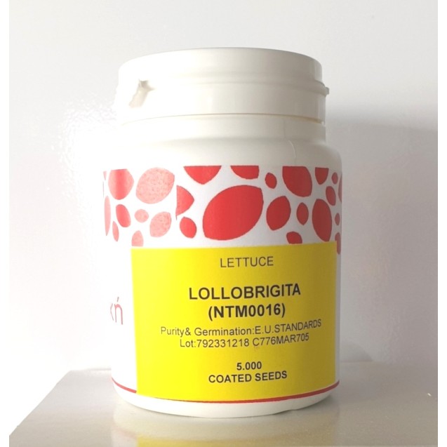 Μαρούλι κατσαρό πράσινο LOLLOBRIGITA (Doree NTM0016) 5000 pills