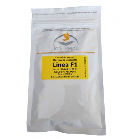 Κολοκύθι Linea F1 500σπόρων (Larkseeds) – Δίνει premium χαρακτήρα στο περιβάλλον | iroots.gr