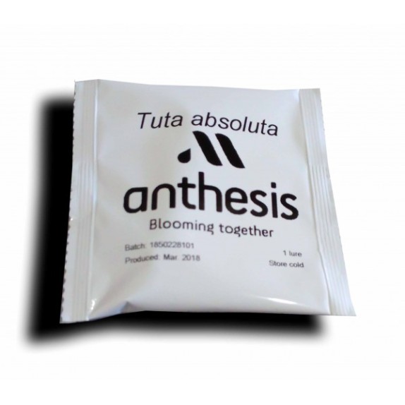 Φερομόνη Tuta Absoluta φακελάκι Anthesis Εντομοκτόνα