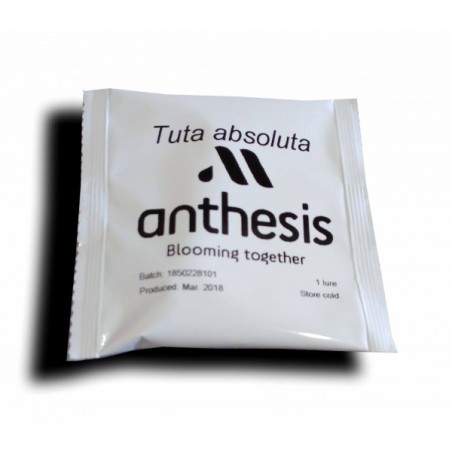 Φερομόνη Tuta Absoluta φακελάκι Anthesis Εντομοκτόνα
