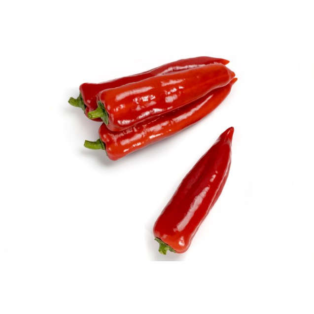 Πιπεριά φλωρίνης Idolisa F1 500 σπόρων Rijk Zwaan – Αναβαθμίζει άμεσα τον χώρο σου | iroots.gr