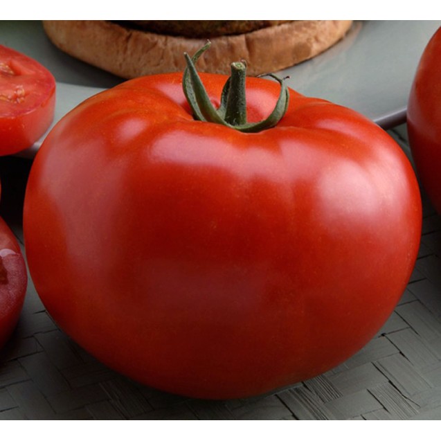 Τομάτα αναρριχώμενη Bella Alma F1 1000σπόρων Lark seeds