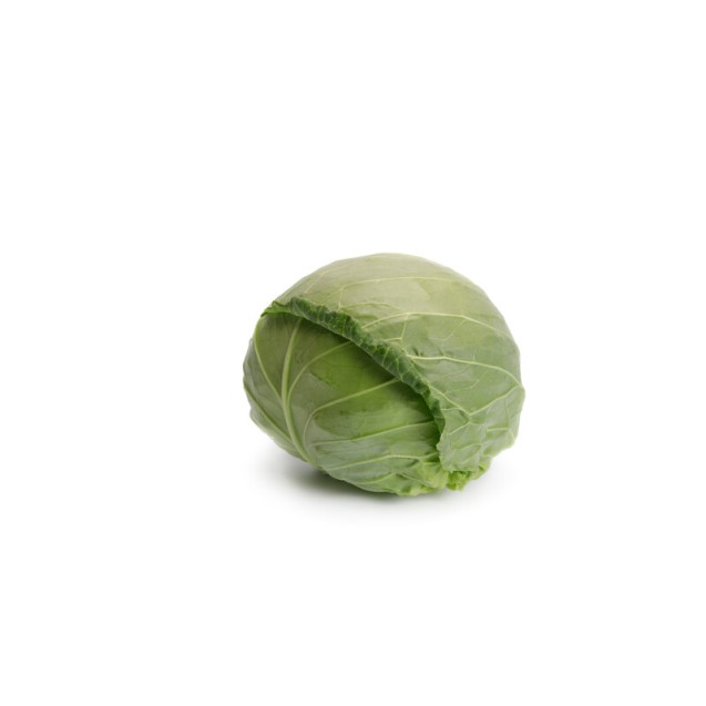 Λάχανο Zarissima F1 2500σπόρων Rijk Zwaan – Ταιριάζει σε κάθε μοντέρνο ή επαγγελματικό χώρο | iroots.gr