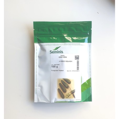 Κολοκύθι Greyzini F1 Seminis 100γραμ